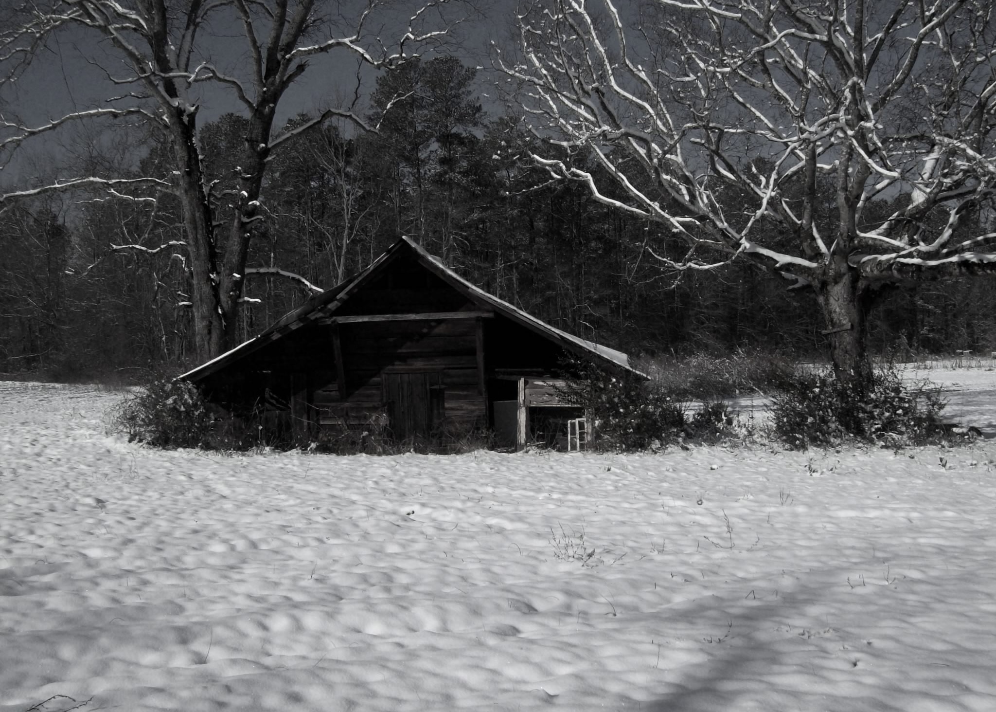 Photo with a prop umbrella