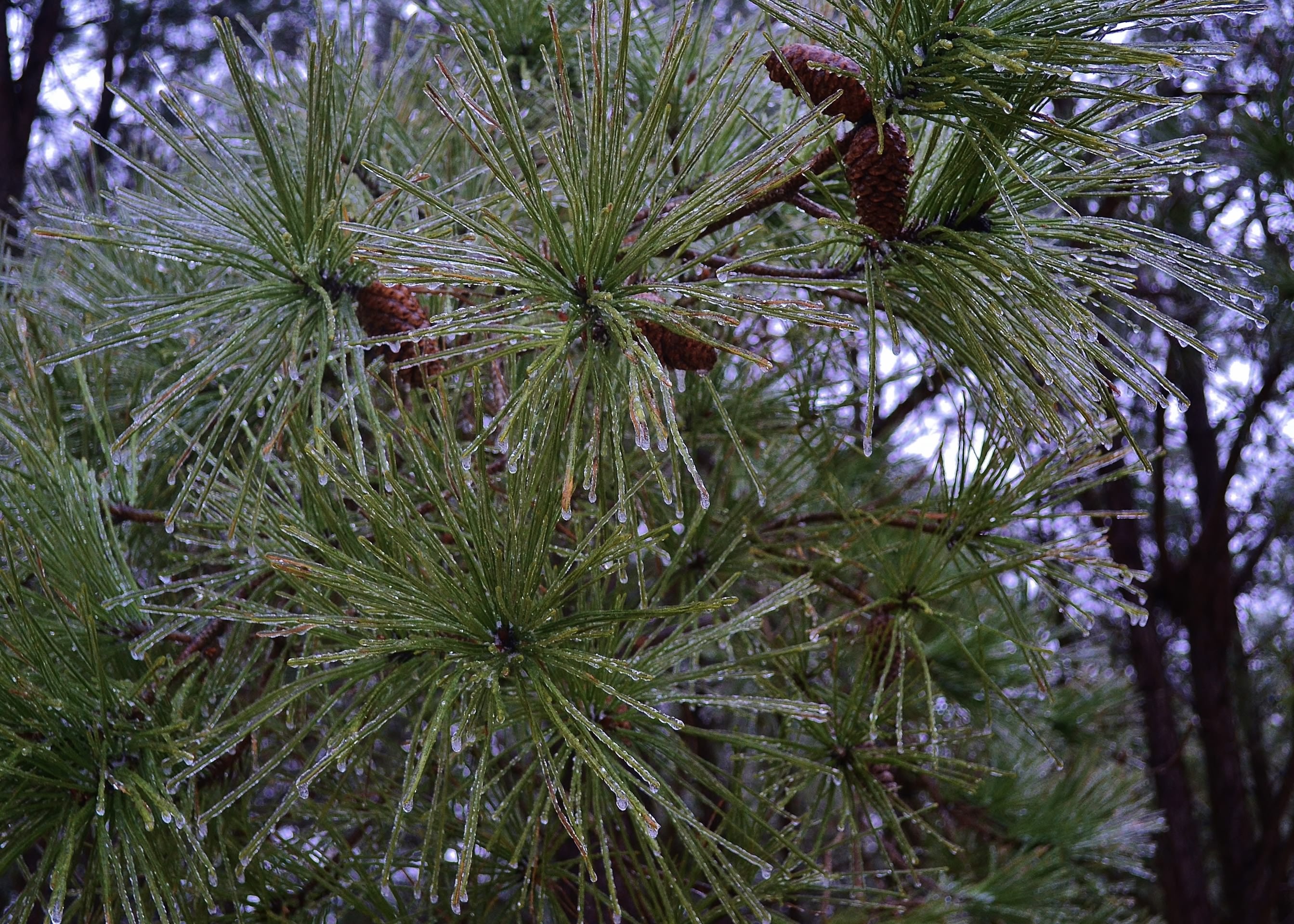 Backstage group photo