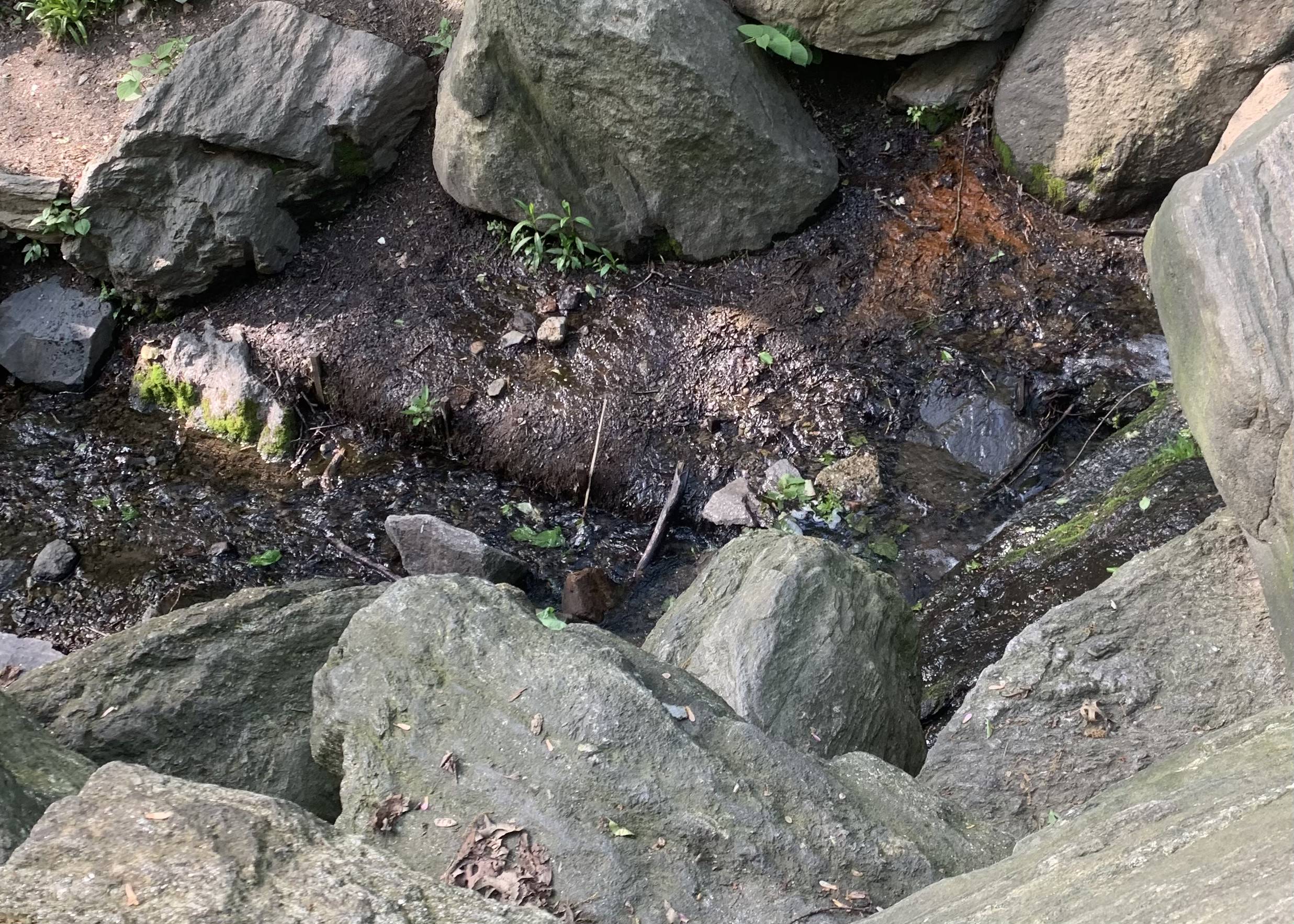 Backstage group photo