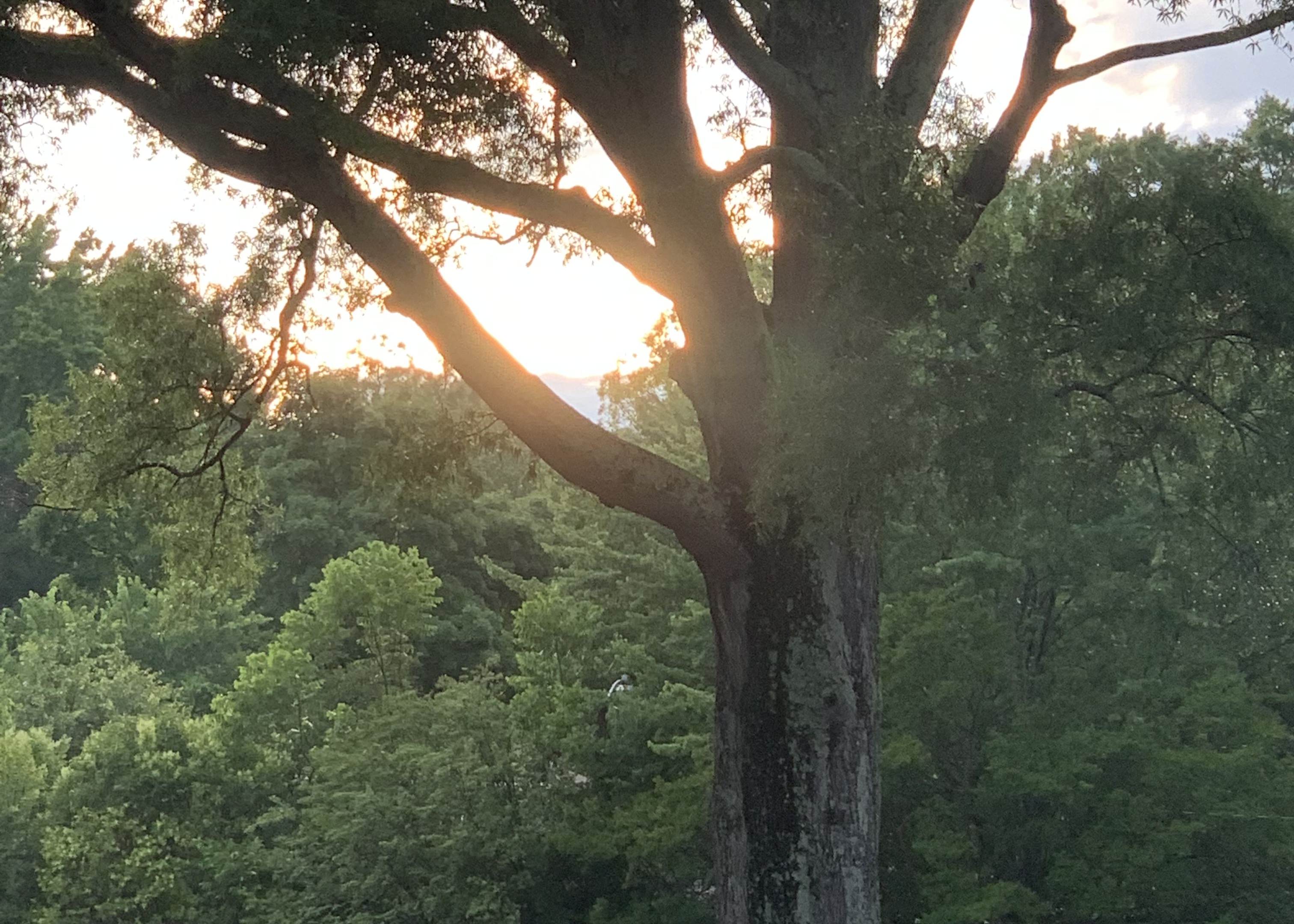 Photo with a prop umbrella