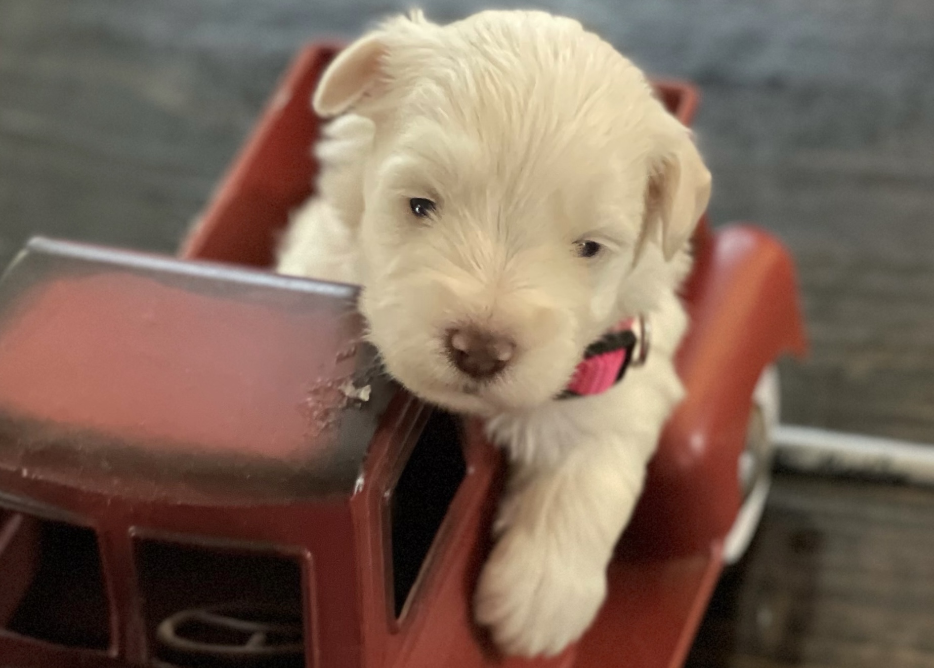 Formal photo with my best friend