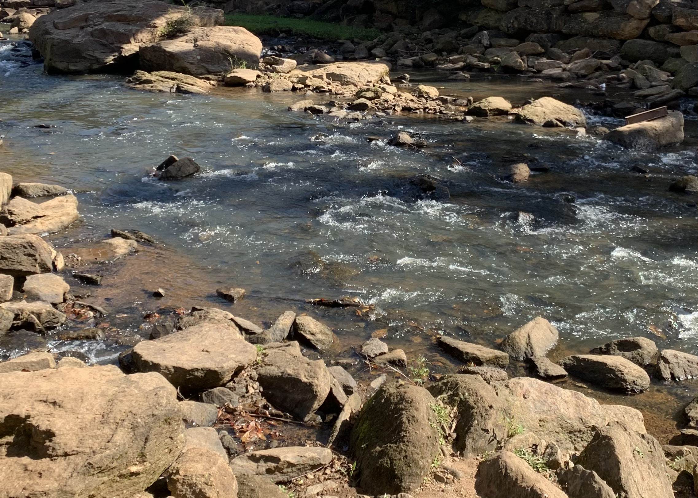 Working with a summer camp